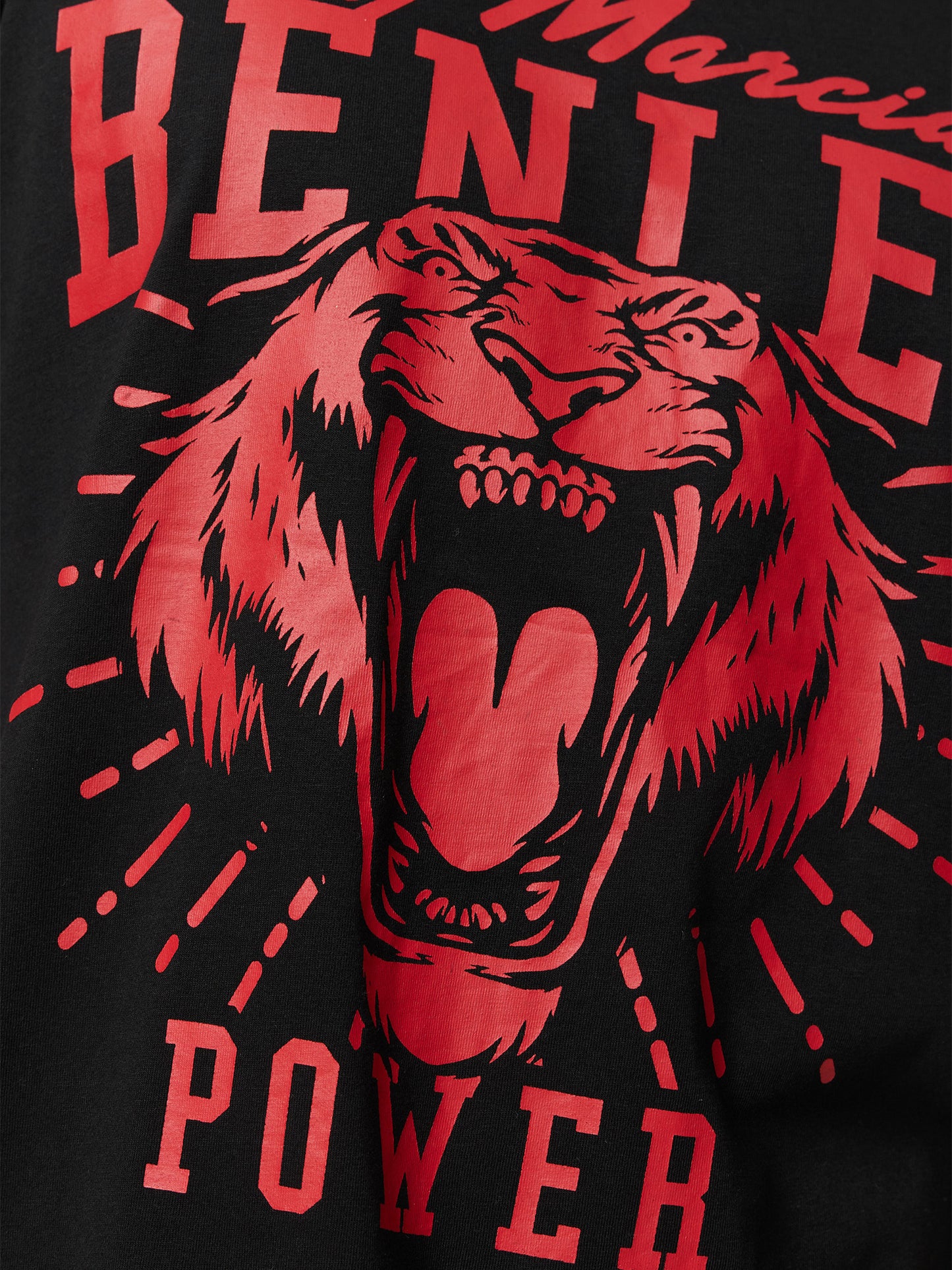 TIGER POWER