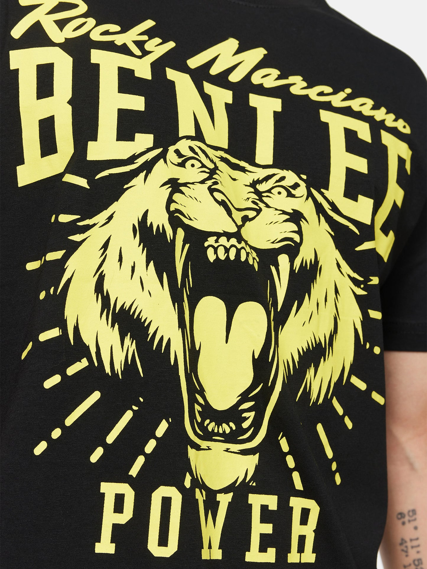 TIGER POWER