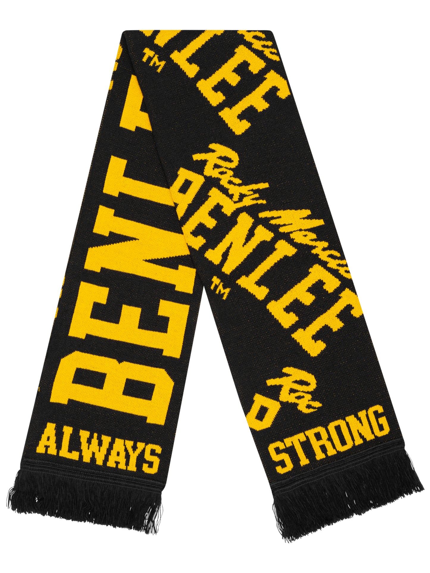 FAN SCARF